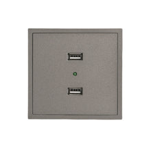 Double USB Switch Gray