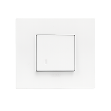 1G SWITCH