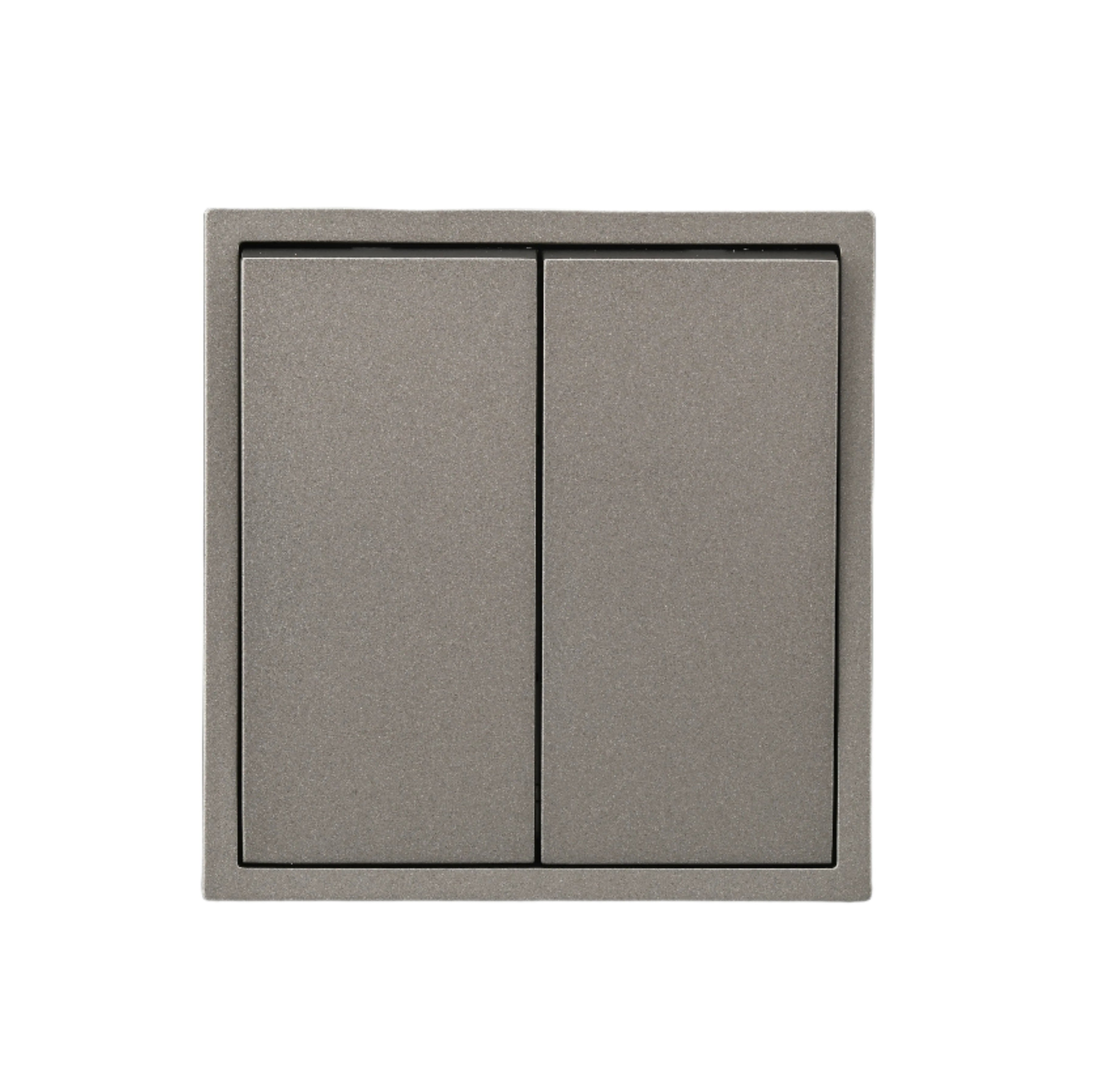 2Gangs Gray Switch