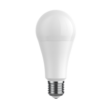 A70 – 17W Bulb