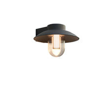 Garden Wall Light – Cap