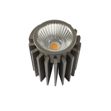 MODULE – 15W