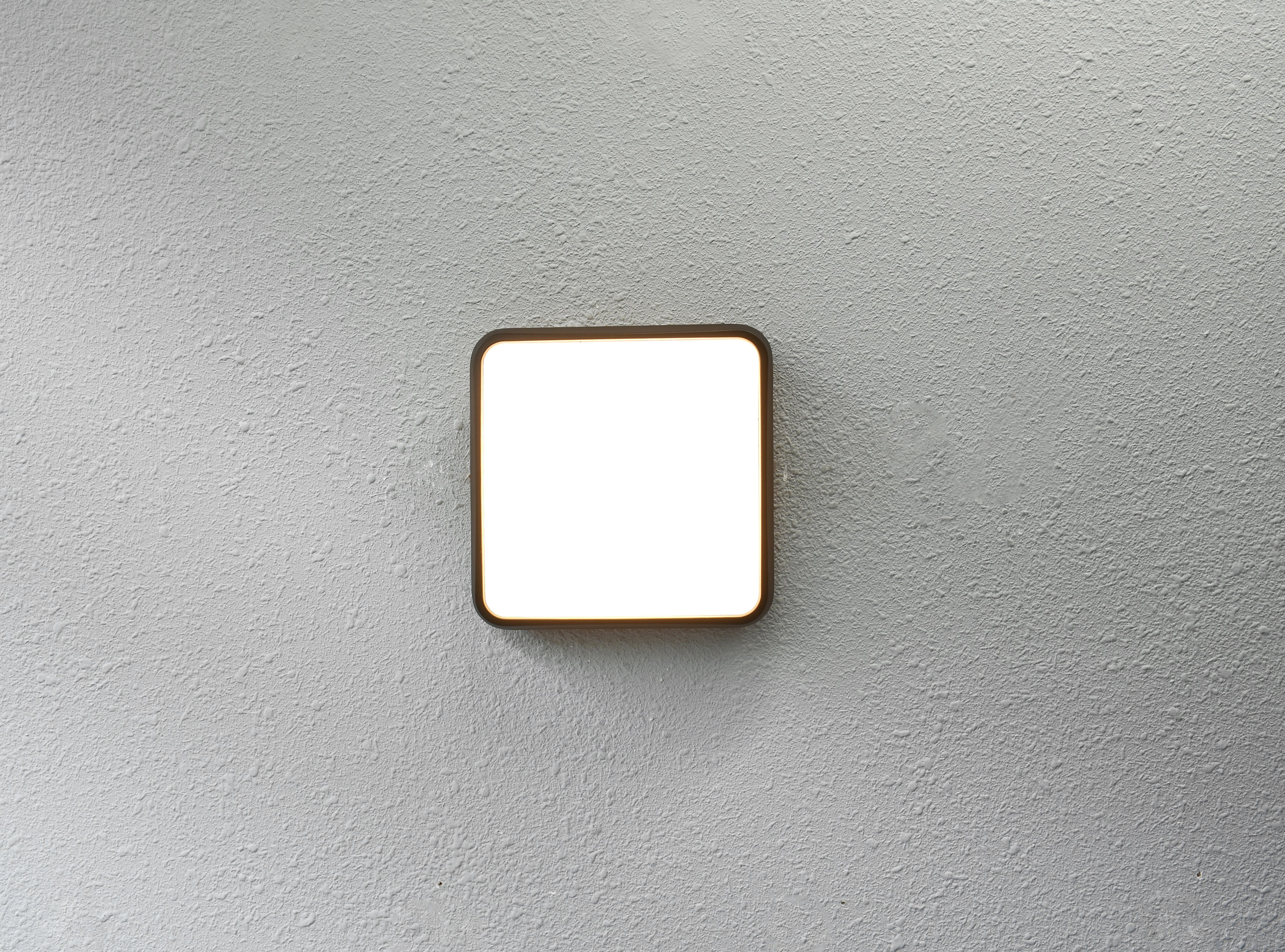 NEW SQUARE