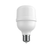 T80 - T120 – 20W / 40W Bulb