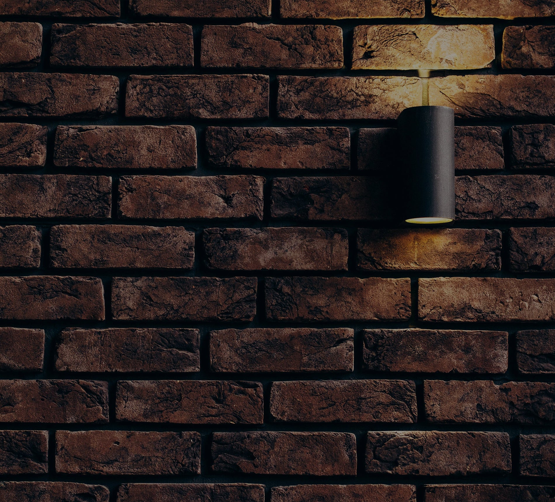 banner-image
